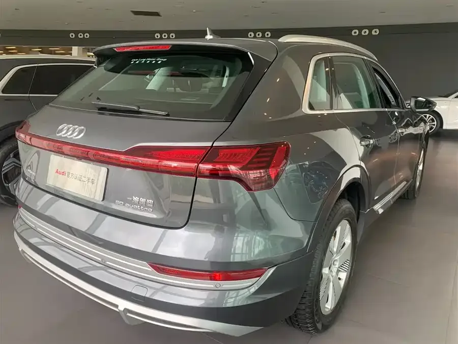 Audi e-tron 2021 50 quattro Luxury 2022 — миниатюра 4