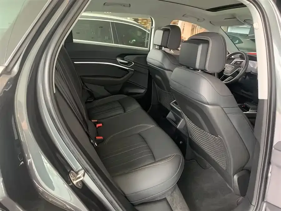 Audi e-tron 2021 50 quattro Luxury 2022 — миниатюра 5