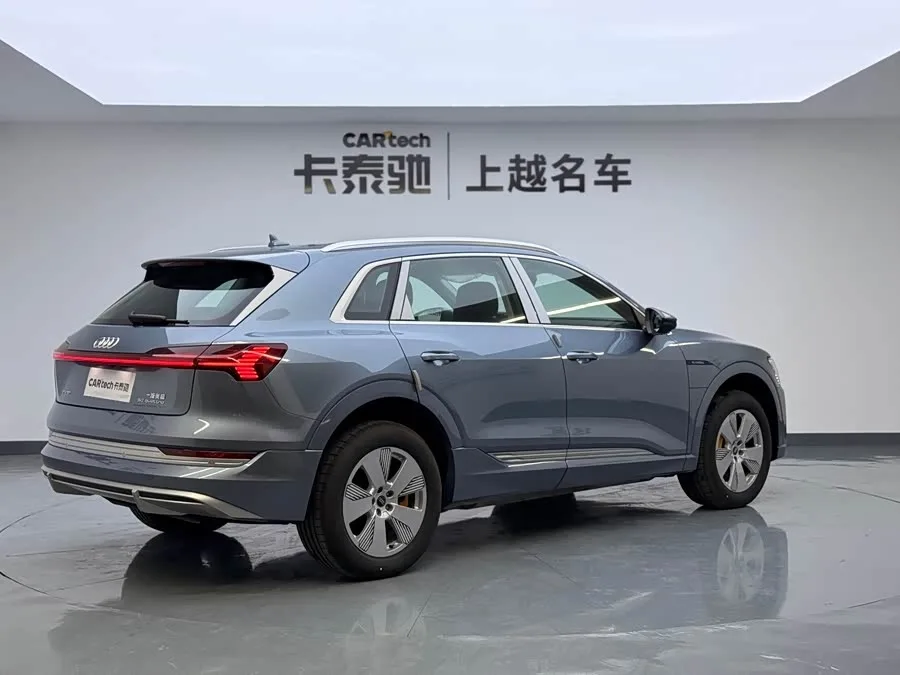 Audi e-tron 2021 50 quattro Luxury 2026 — миниатюра 2