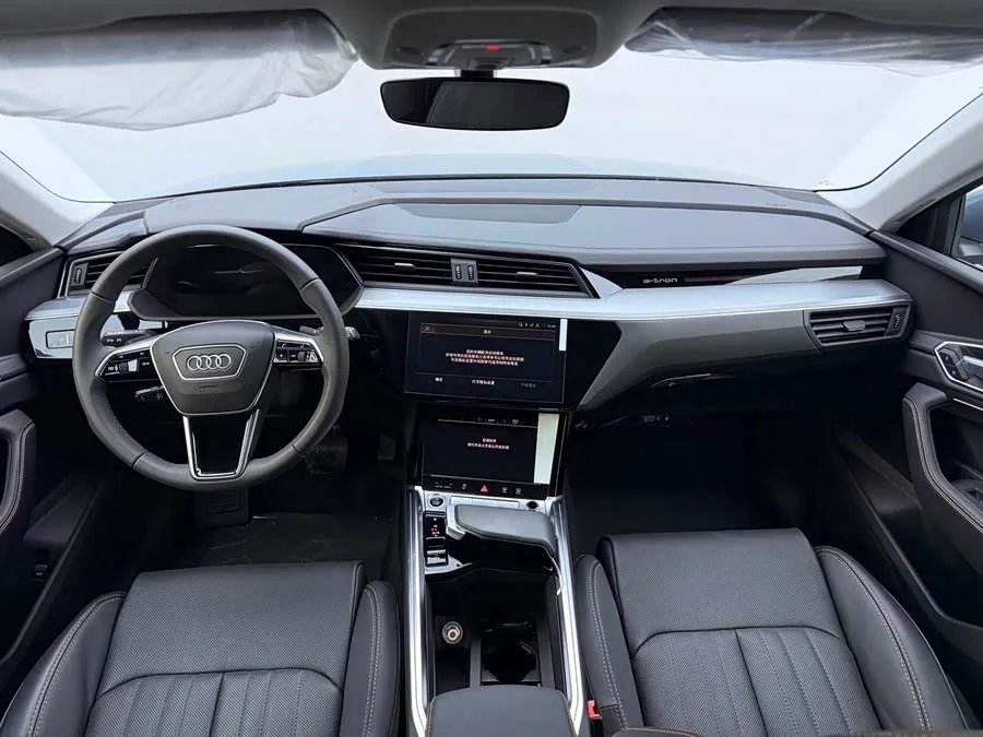 Audi e-tron 2021 50 quattro Luxury 2026 — миниатюра 4