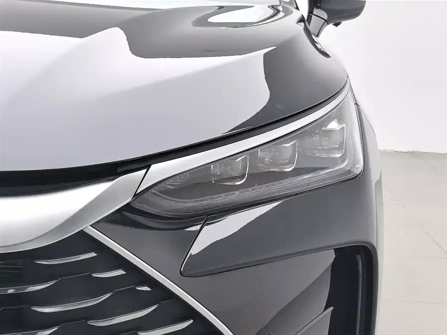 BYD Tang New Energy Tang New Energy 2025 DM-i 115KM Premium Edition 2024 — миниатюра 4