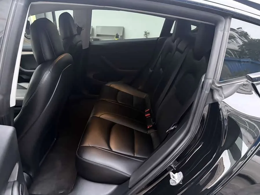 Tesla Model 3 Model 3 2022 rear-wheel drive version 2023 — миниатюра 4