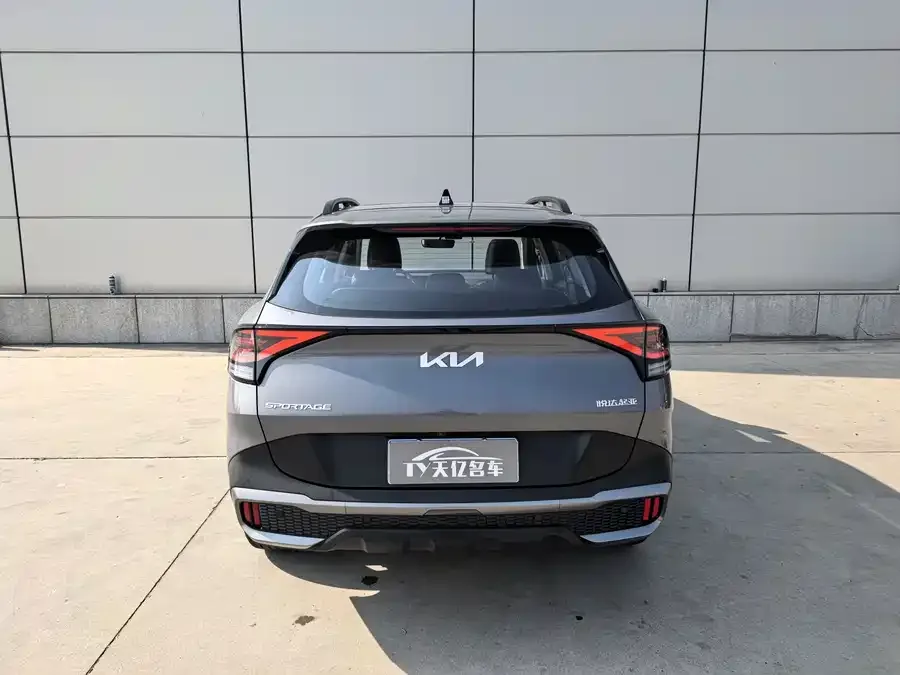 Kia Lion Platinum Lion Bo Tuojie 2025 2.0T 2WD Premium Edition 2025 — миниатюра 4