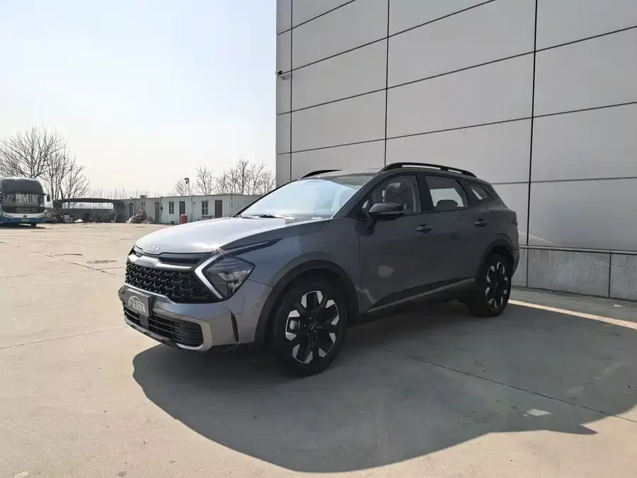 Kia Lion Platinum 2025