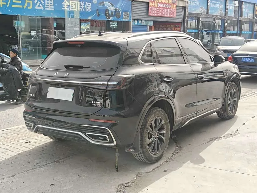 Hongqi HS5 Hongqi HS5 2023 2.0T Flagship Pro Edition 2024 — миниатюра 4