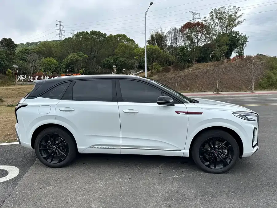 Hongqi HS3 PHEV Hongqi HS3 PHEV 2025 117km Jinwei Edition 2025 — миниатюра 5