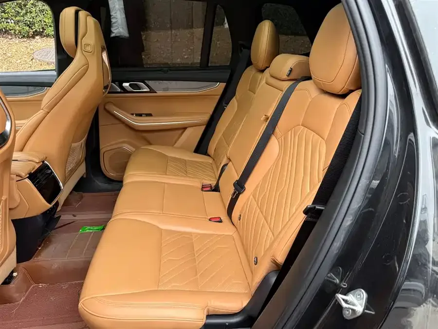 Lynk & Co 09 Lynk & Co 09 2024 2.0T 4WD Global Edition 7 Seaters 2024 — миниатюра 3