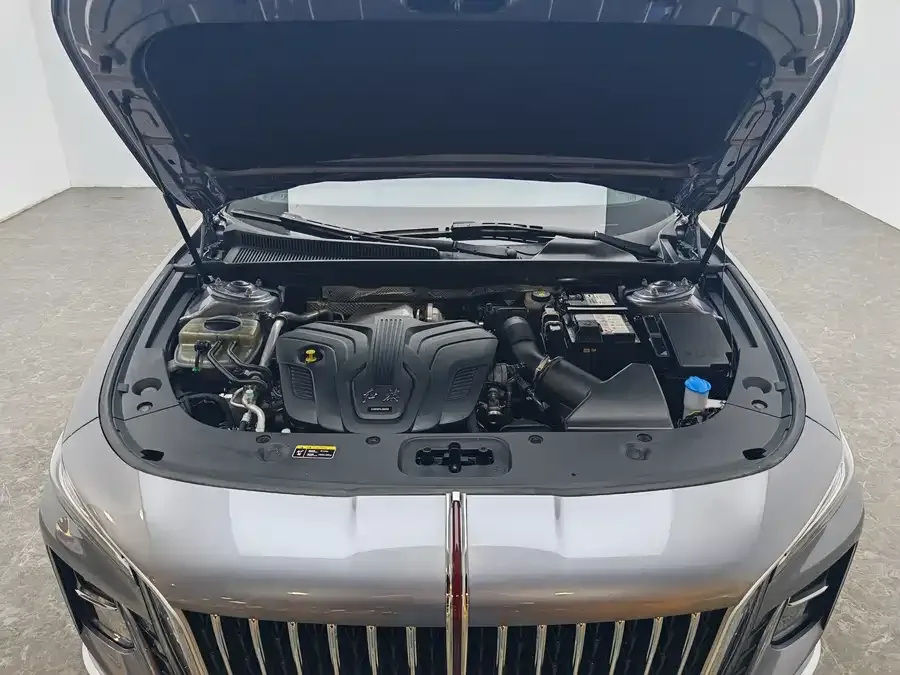 Hongqi H5 Hongqi H5 2023 2.0T Automatic Intelligent Connected Flag Edition 2023 — миниатюра 4