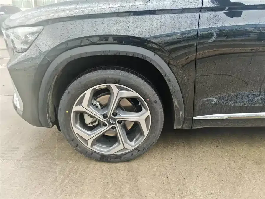 Geely Monjaro Xingyue L 2024 2.0TD DCT EVO 2WD Changfeng Edition 2025 — миниатюра 5