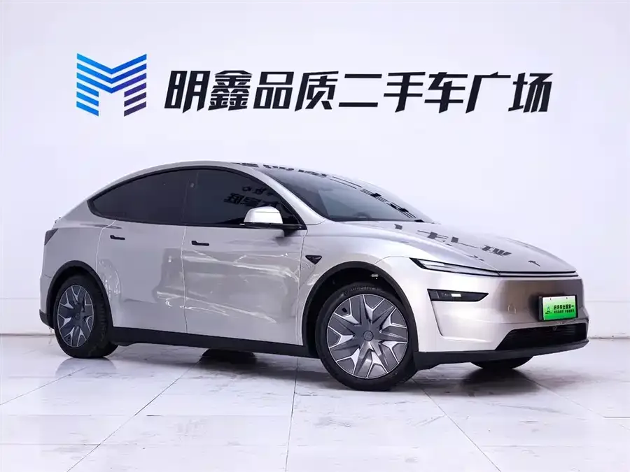 Tesla Model YL Model YL 2025 long-range all-wheel drive version 2025 — миниатюра 2