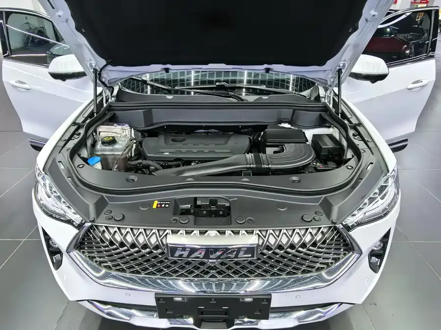 Haval F7x Haval F7x 2021 2.0T four-wheel drive extremely intelligent performance version 2022 — миниатюра 3