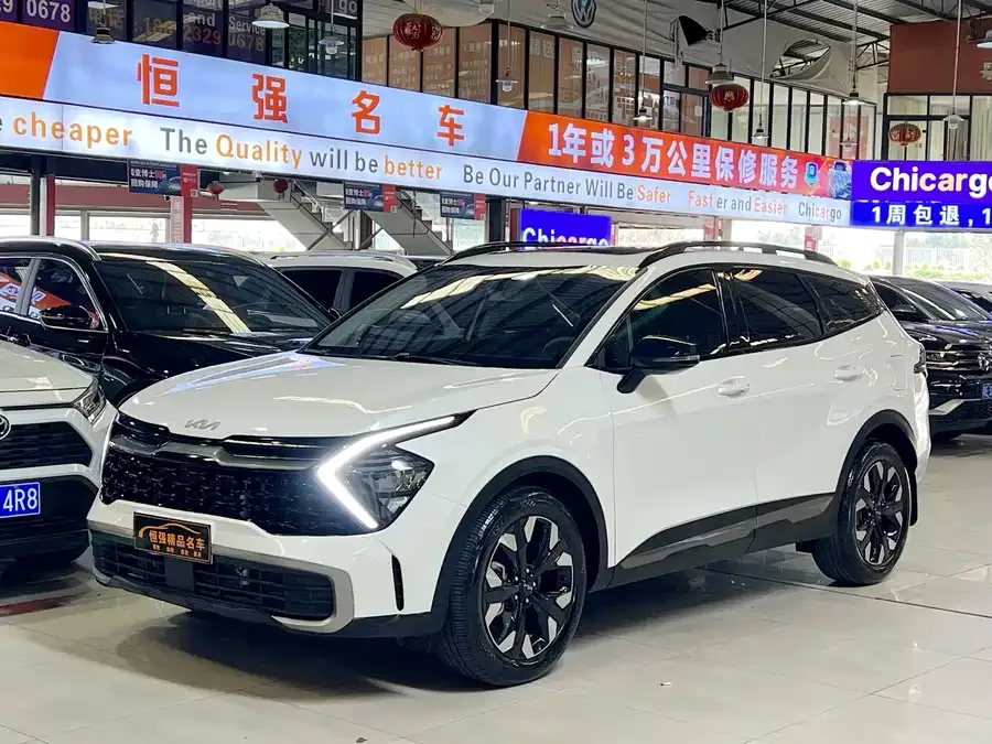 Kia Lion Platinum 2023 Lion Bo Tuojie 2.0T 2WD Premium Edition 2023 — фото 1, купить с доставкой в Москву