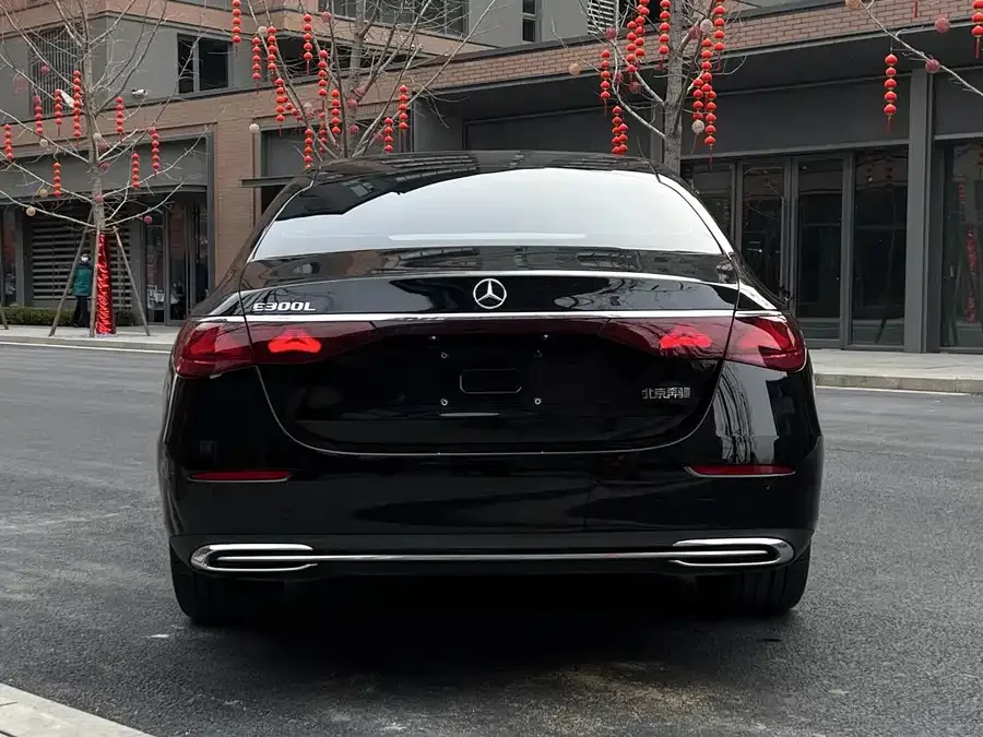 Mercedes-Benz E-Class Mercedes-Benz E-Class 2025 E 300 L Luxury Edition 2025 — миниатюра 5