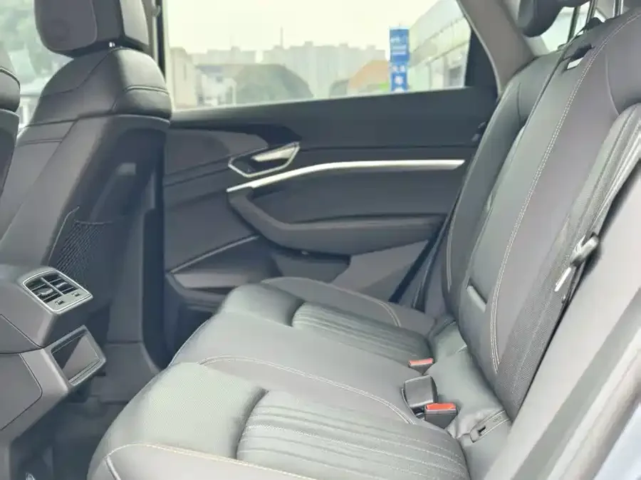 Audi e-tron 2021 50 quattro Luxury 2025 — миниатюра 2