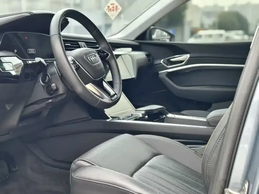 Audi e-tron 2021 50 quattro Luxury 2025 — миниатюра 4