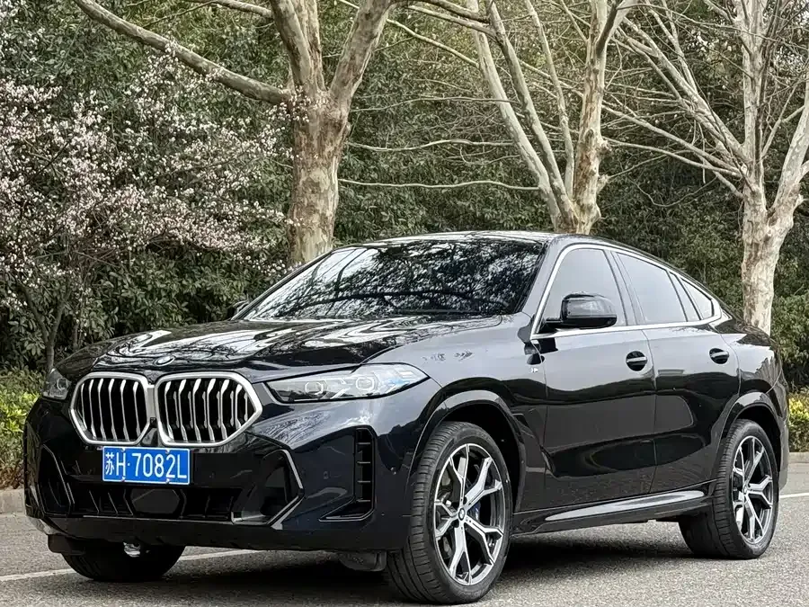 BMW X6 2025