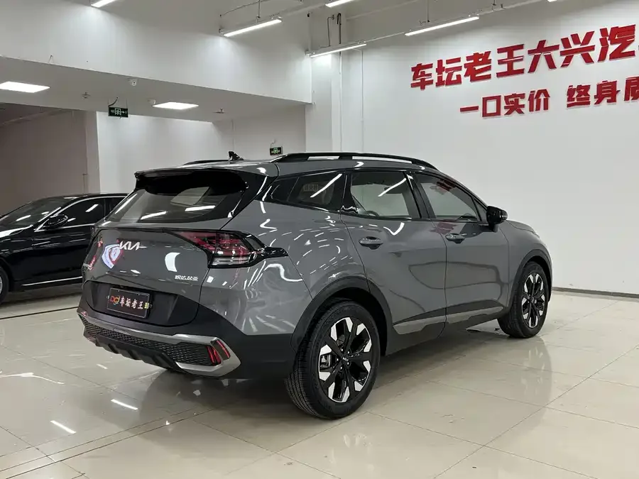 Kia Lion Platinum 2023 Lion Bo Tuojie 2.0T 2WD Premium Edition 2024 — миниатюра 4