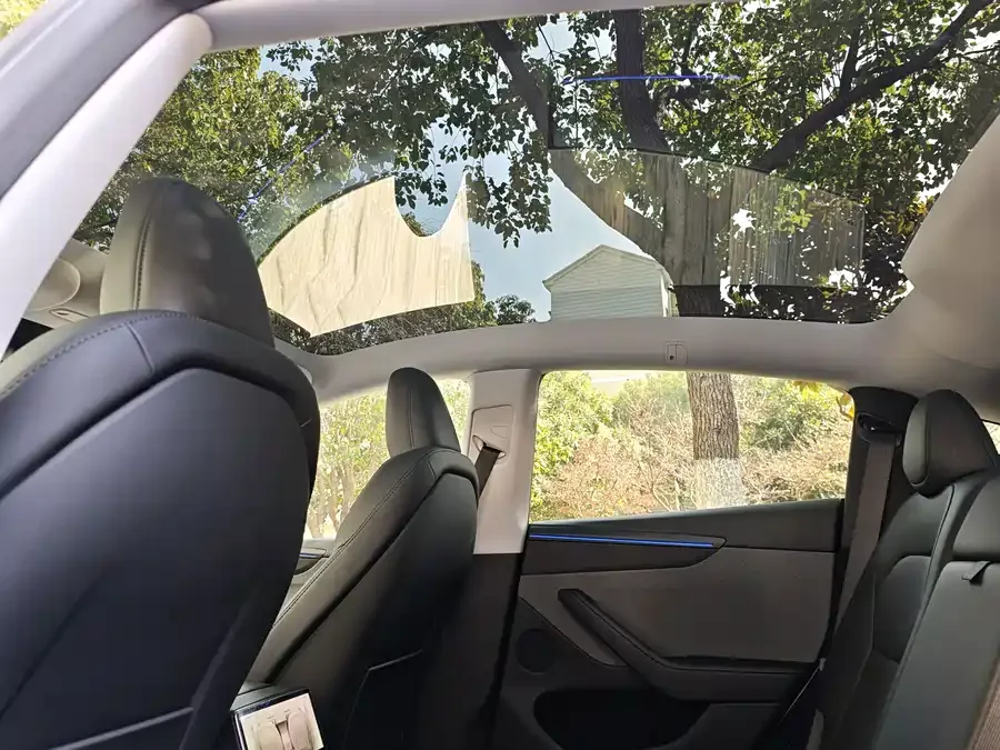 Tesla Model Y Model Y 2025 rear-wheel drive version 2026 — миниатюра 3