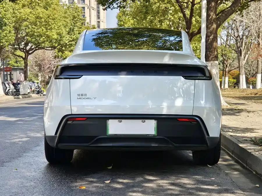 Tesla Model Y Model Y 2025 rear-wheel drive version 2026 — миниатюра 5