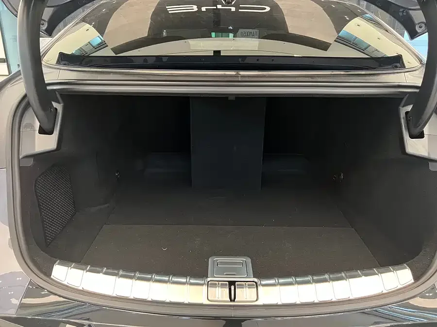 BYD Z9 Denza Z9 2024 1100km 4WD Max Edition 2024 — миниатюра 4