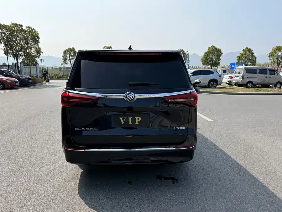 Buick GL8 2023 ES Lu Zun Premium Edition 2023 — миниатюра 4