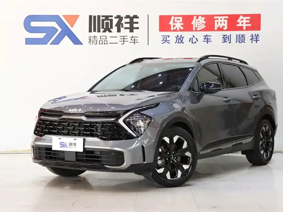 Kia Lion Platinum 2023 Lion Bo Tuojie 2.0T 2WD Premium Edition 2024 — фото 1, купить с доставкой в Москву