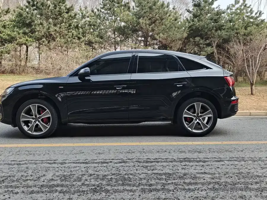 Audi Q5L Sportback 2023 40 TFSI Ice and Snow Sports Edition 2023 — миниатюра 5