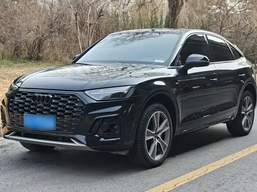 Audi Q5L Sportback 2023 40 TFSI Ice and Snow Sports Edition 2023 — фото 1, купить с доставкой в Москву