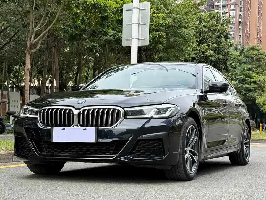 BMW 5 Series New Energy 2023