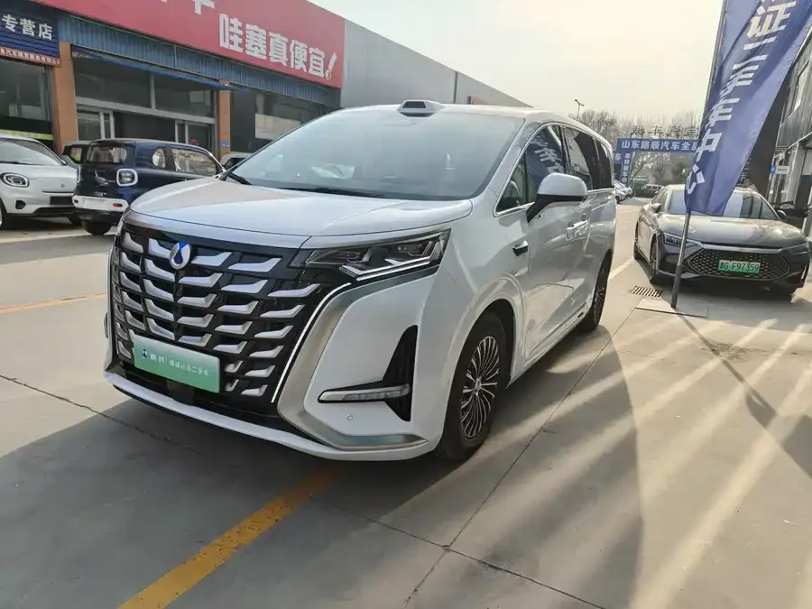 BYD D9 2025
