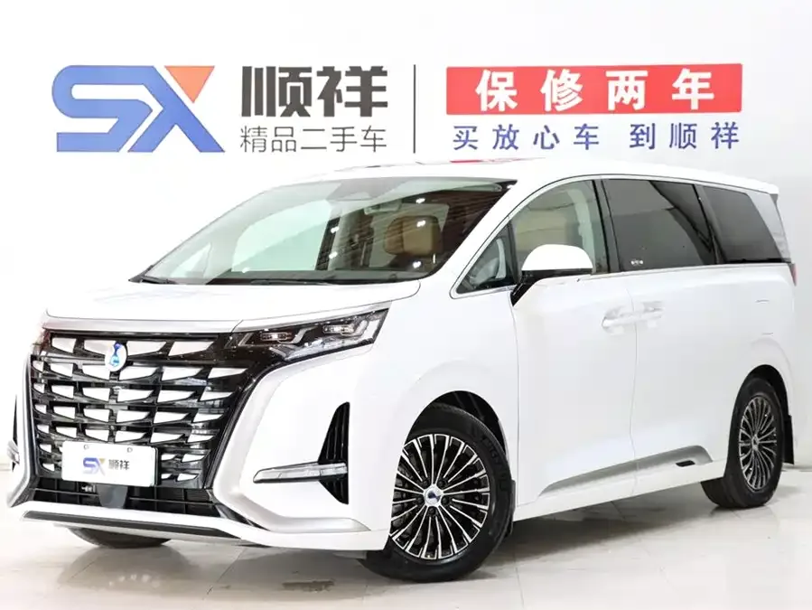 BYD D9 2022