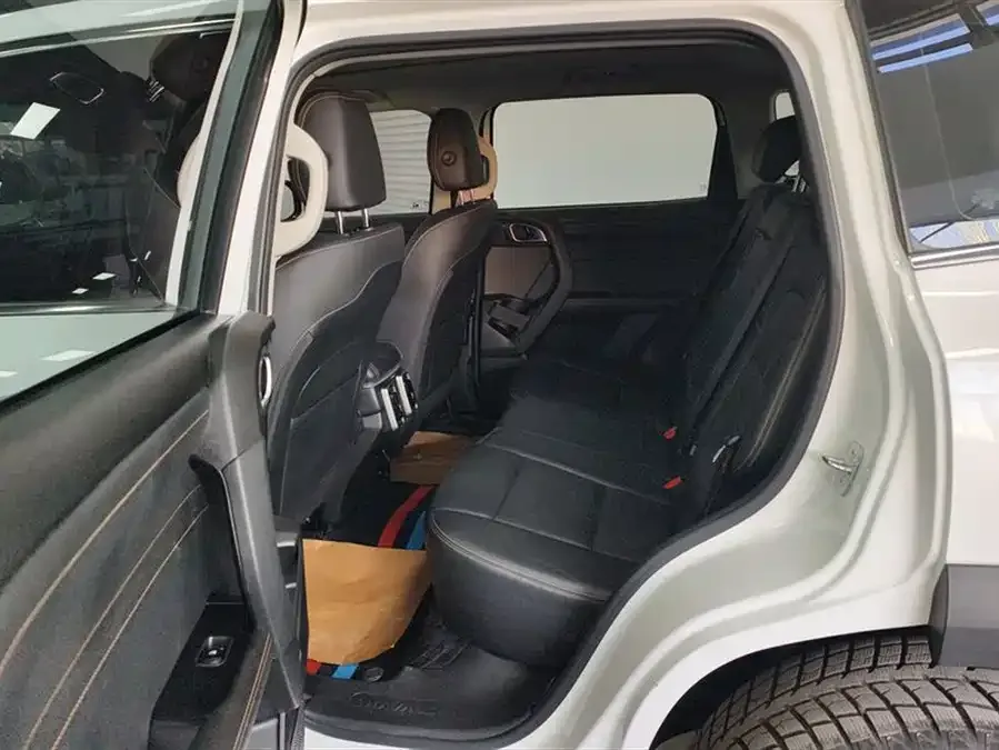 Haval Big dog Haval Big Dog 2024 2.0T DCT Chinese Pastoral Dog Edition 2024 — миниатюра 5