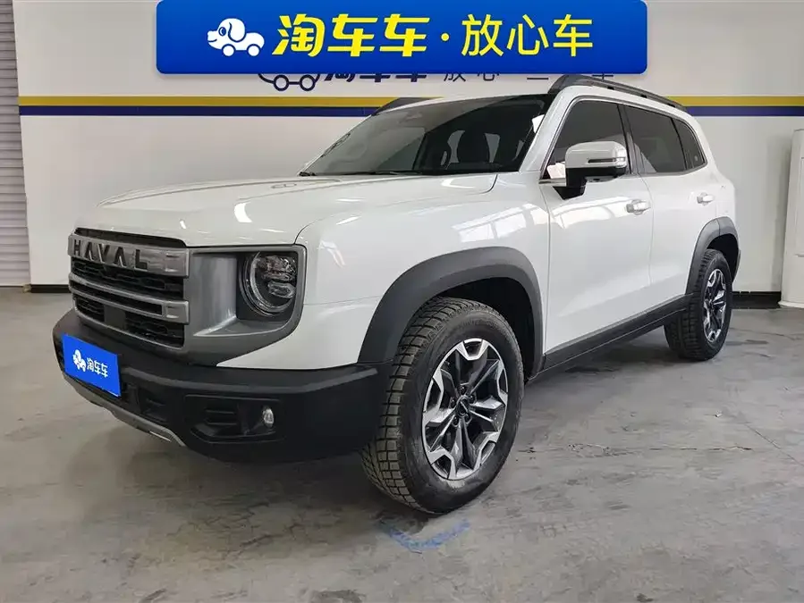 Haval Big dog Haval Big Dog 2024 2.0T DCT Chinese Pastoral Dog Edition 2024 — фото 1, купить с доставкой в Москву