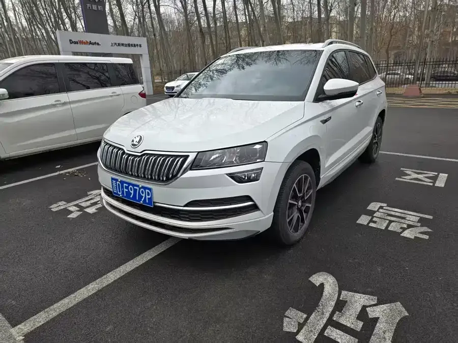 Skoda Karoq Korok 2023 TSI280 Exclusive Edition 2024 — фото 1, купить с доставкой в Москву