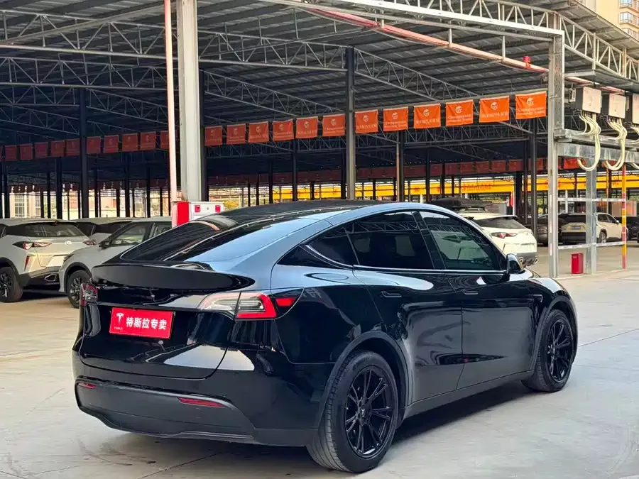 Tesla Model Y Model Y 2022 rear-wheel drive version 2022 — миниатюра 3