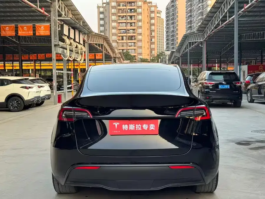 Tesla Model Y Model Y 2022 rear-wheel drive version 2022 — миниатюра 5