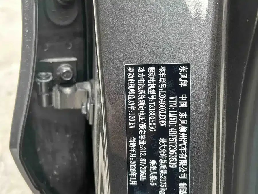 Dongfeng Xinghai T5 Xinghai T5 2026 530km Premium Edition 2026 — миниатюра 5