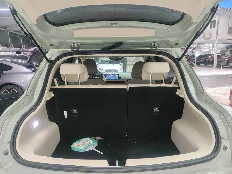ORA Good Cat Euler Good Cat 2023 401km standard range luxury lithium iron phosphate 2024 — миниатюра 4