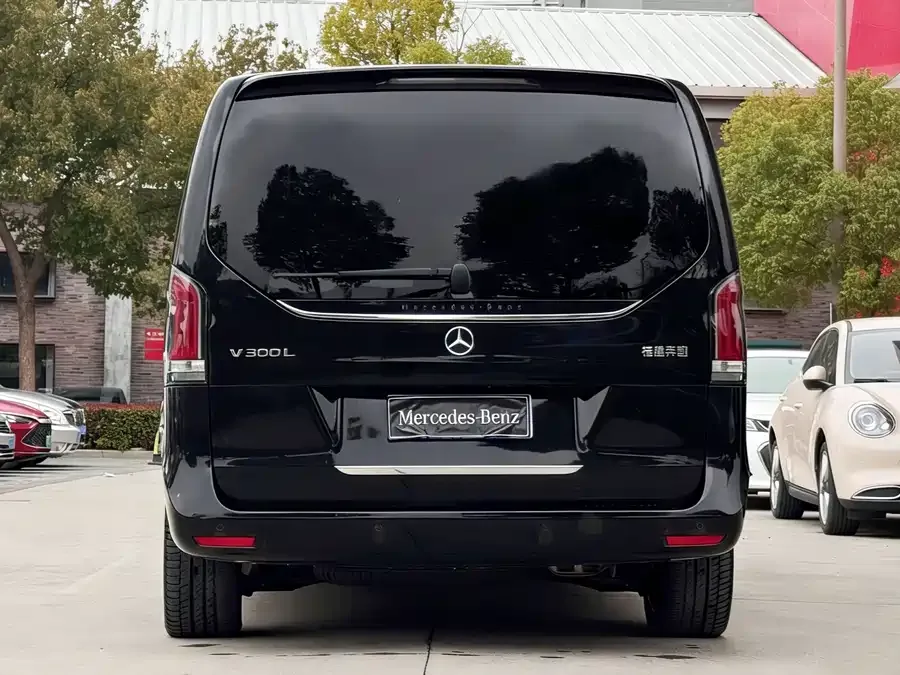 Mercedes-Benz Class V Mercedes-Benz V-Class 2024 V 300 L Long Wheelbase Luxury Edition 2024 — миниатюра 2