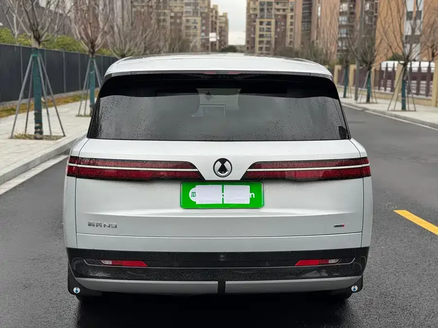 BYD N9 Denza N9 2025 flagship model 2025 — миниатюра 2