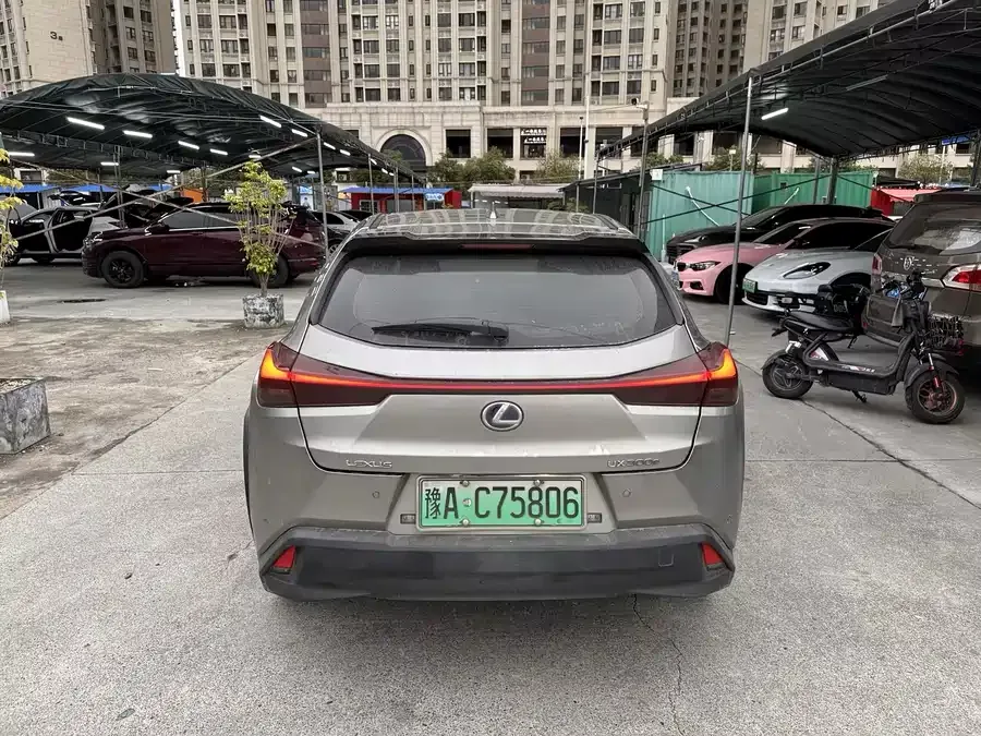 Lexus UX New Energy Lexus UX PHEV 2020 300e Pure Edition 2022 — миниатюра 3