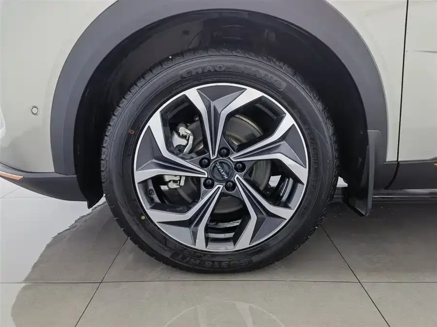 Haval Shenshou Haval Shenshou 2022 2.0T Zhizun 4WD Edition 2022 — миниатюра 5