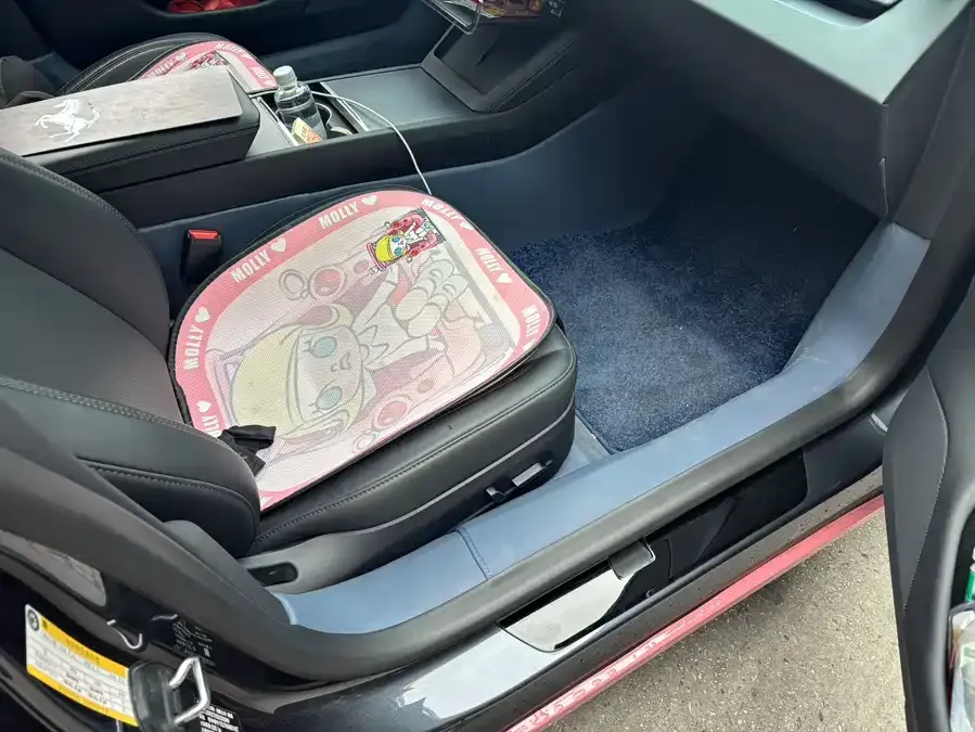 Tesla Model 3 Model 3 2025 rear-wheel drive version 2025 — миниатюра 5
