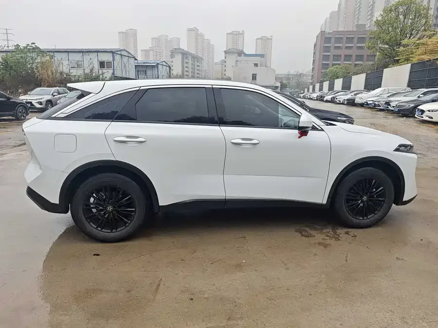Venucia Big V Venucia Big V 2022 260T Custom Edition - Idol 2022 — миниатюра 2