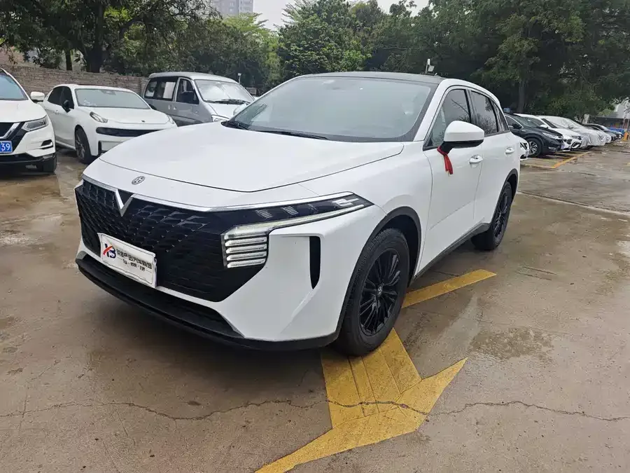 Venucia Big V Venucia Big V 2022 260T Custom Edition - Idol 2022 — фото 1, купить с доставкой в Москву