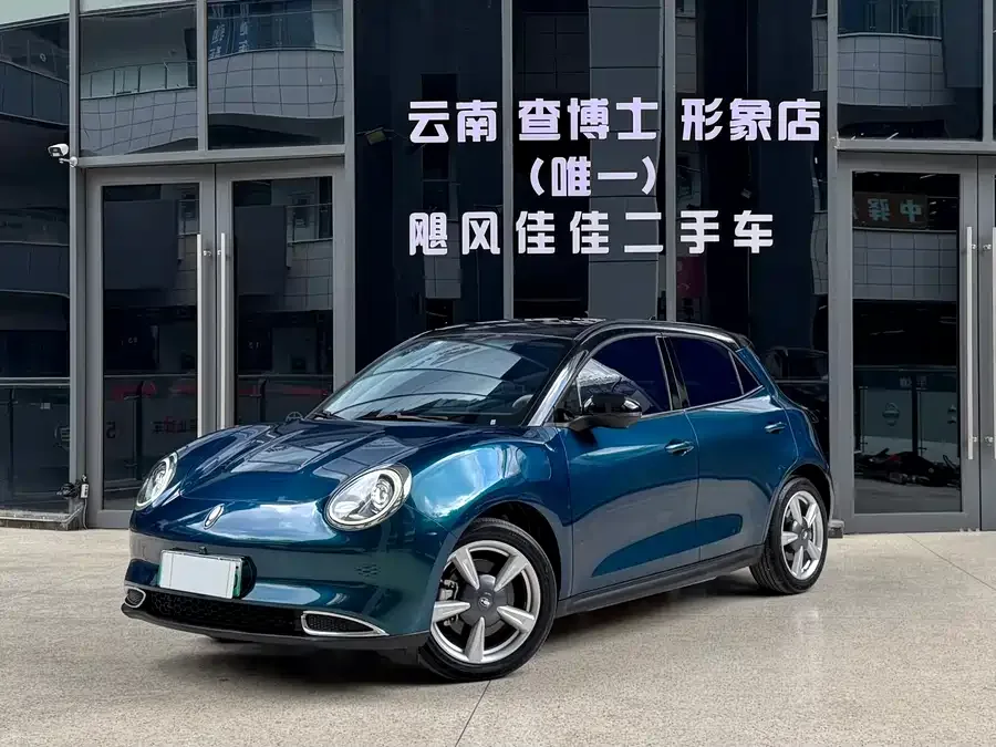 ORA good cat Euler Good Cat 2022 400km standard range premium ternary lithium model 2022 — фото 1, купить с доставкой в Москву