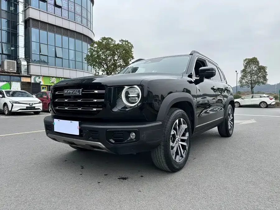 Haval Big dog Haval Big Dog 2022 1.5T DCT 2WD Border Collie Edition 2024 — фото 1, купить с доставкой в Москву
