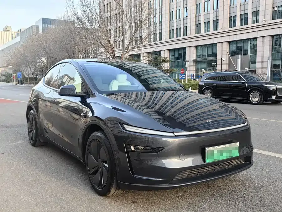 Tesla Model Y Model Y 2025 rear-wheel drive first edition 2025 — миниатюра 2