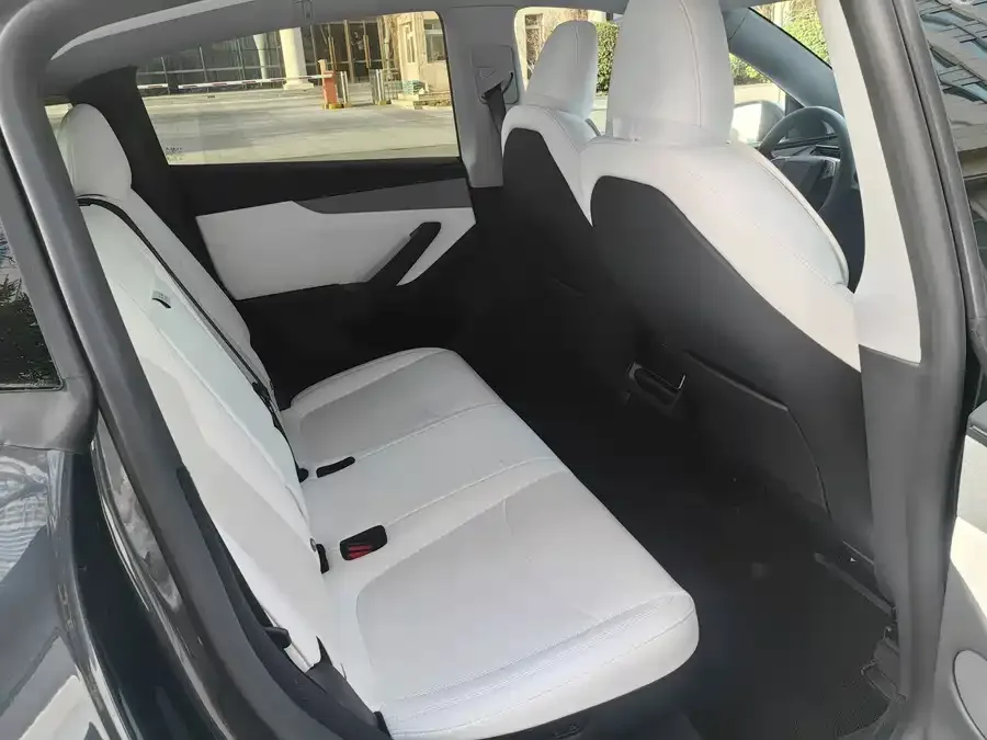 Tesla Model Y Model Y 2025 rear-wheel drive first edition 2025 — миниатюра 4