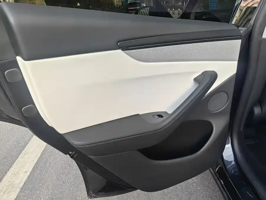 Tesla Model Y Model Y 2025 rear-wheel drive first edition 2025 — миниатюра 5